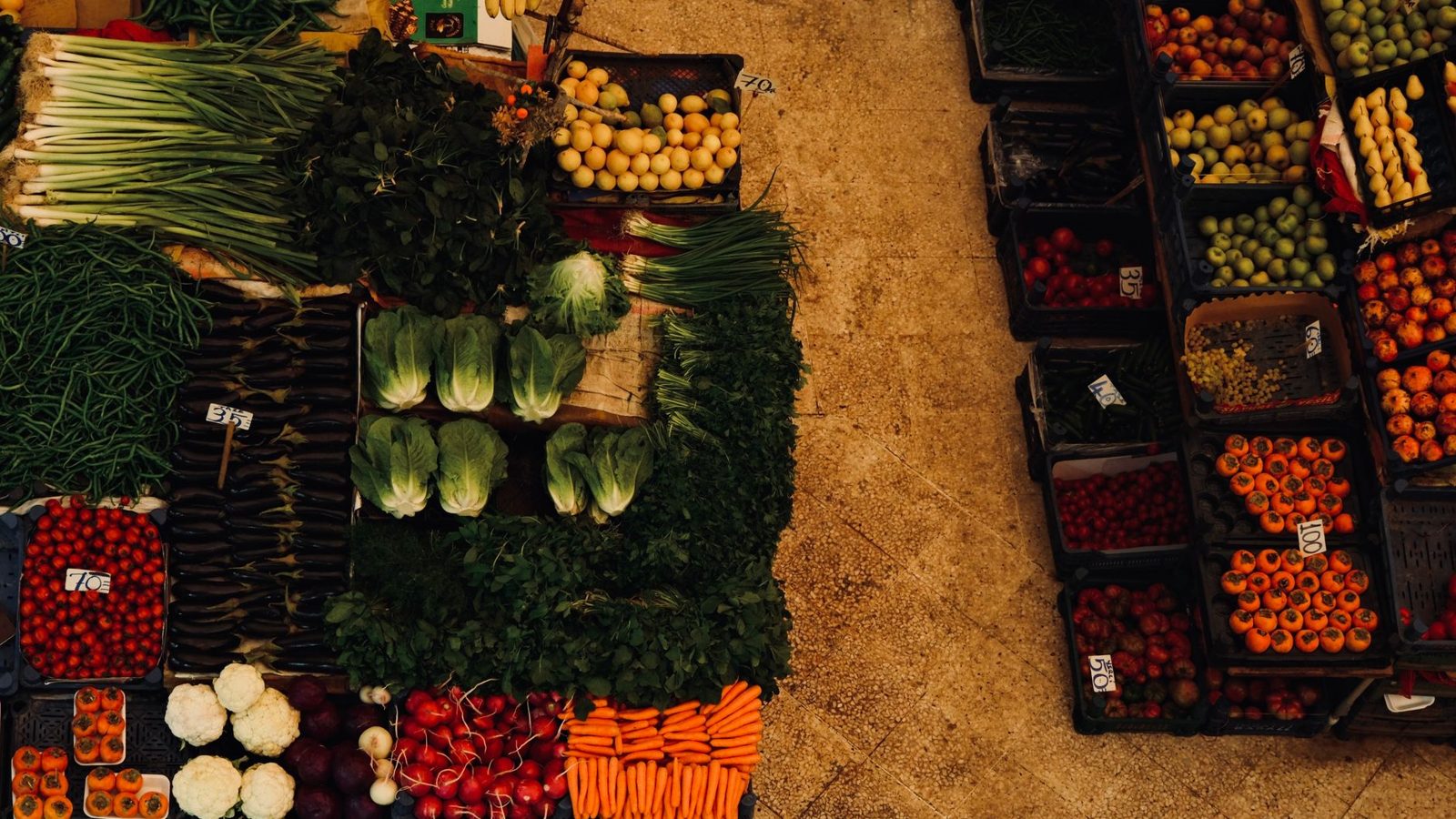 Penny Camp