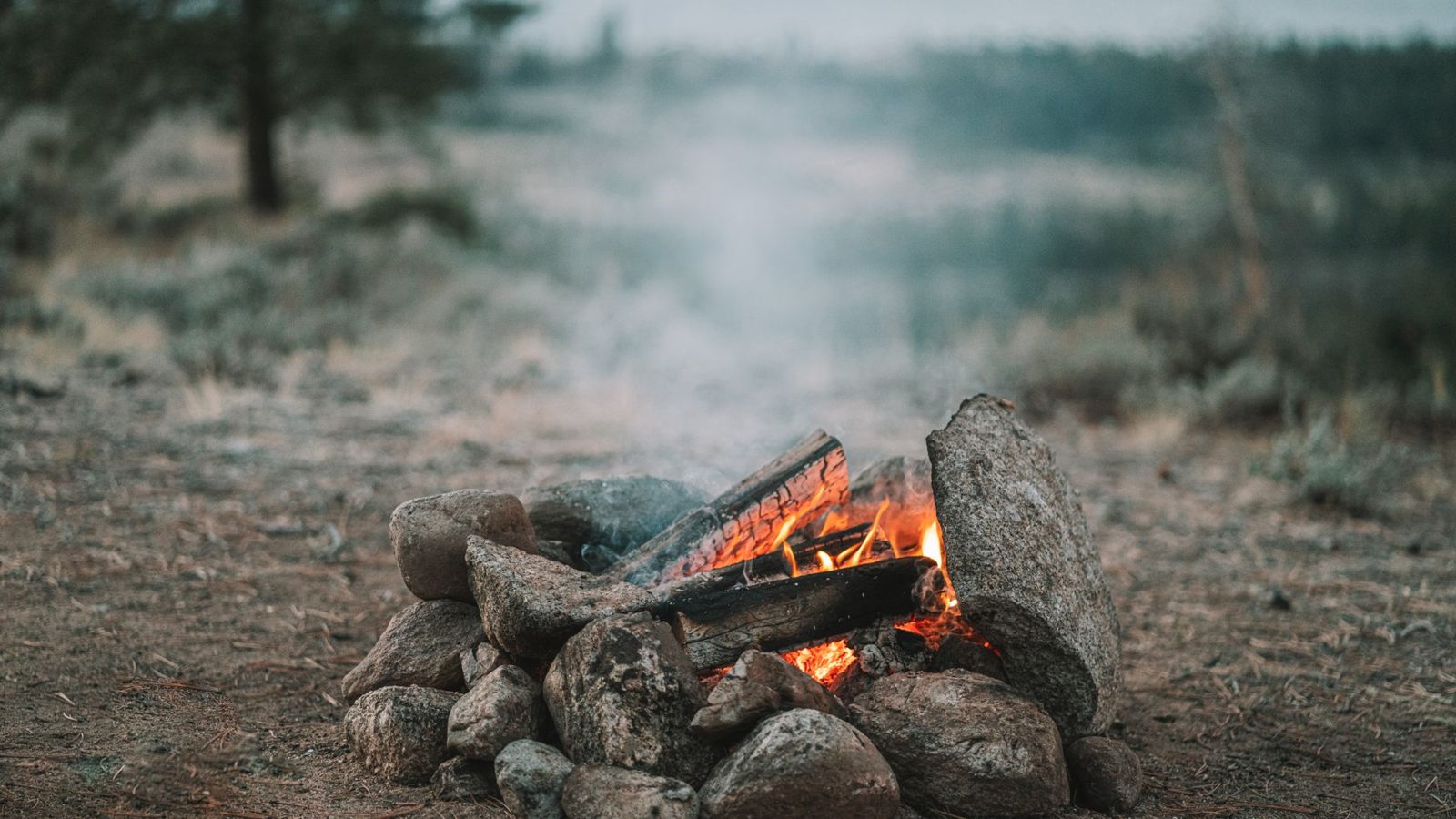 Penny Camp